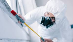 Pest Control for Hotels in Western Lake, TX